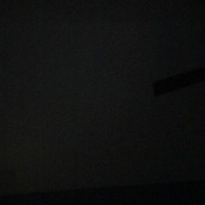 Meet your Posher, Sophia